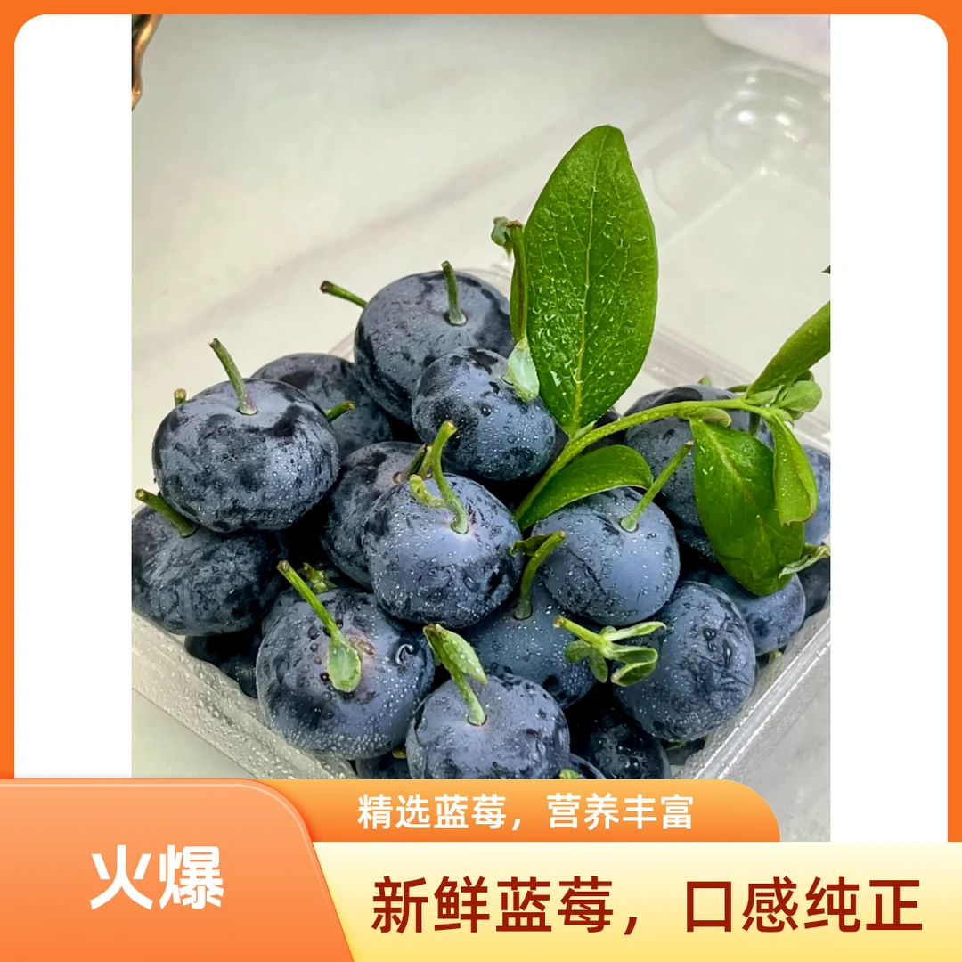 天津蓝莓2盒125g（12-15mm）天津市