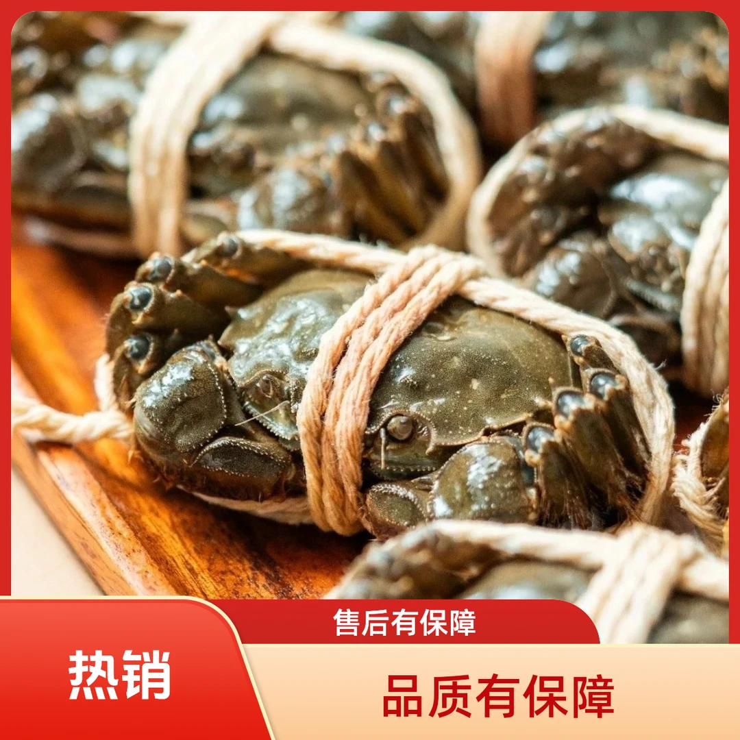 【活蟹】洪泽湖大闸蟹规格(3.1-2.8两)全母蟹8只装礼盒 京东到家