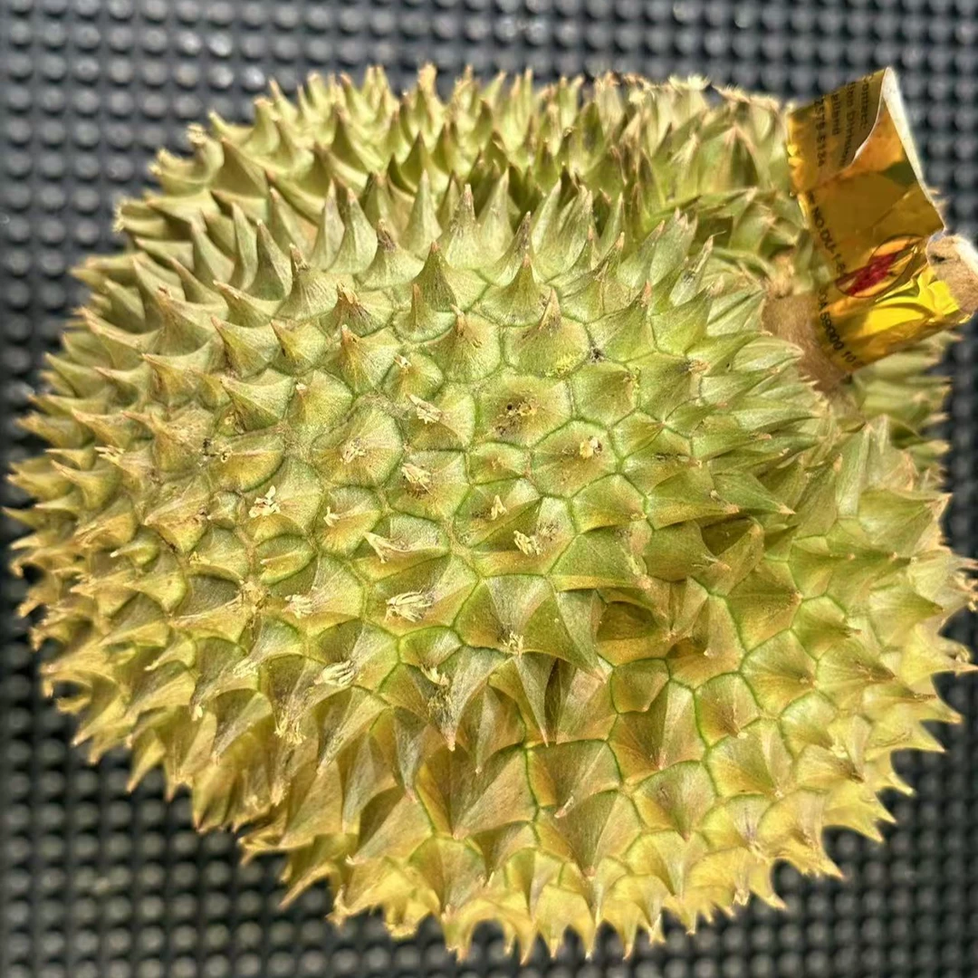 【新鲜空运】泰国树熟 报恩 金枕榴莲3-6斤 肉厚(40%出肉率)核小 口感巨好金枕泰国东部