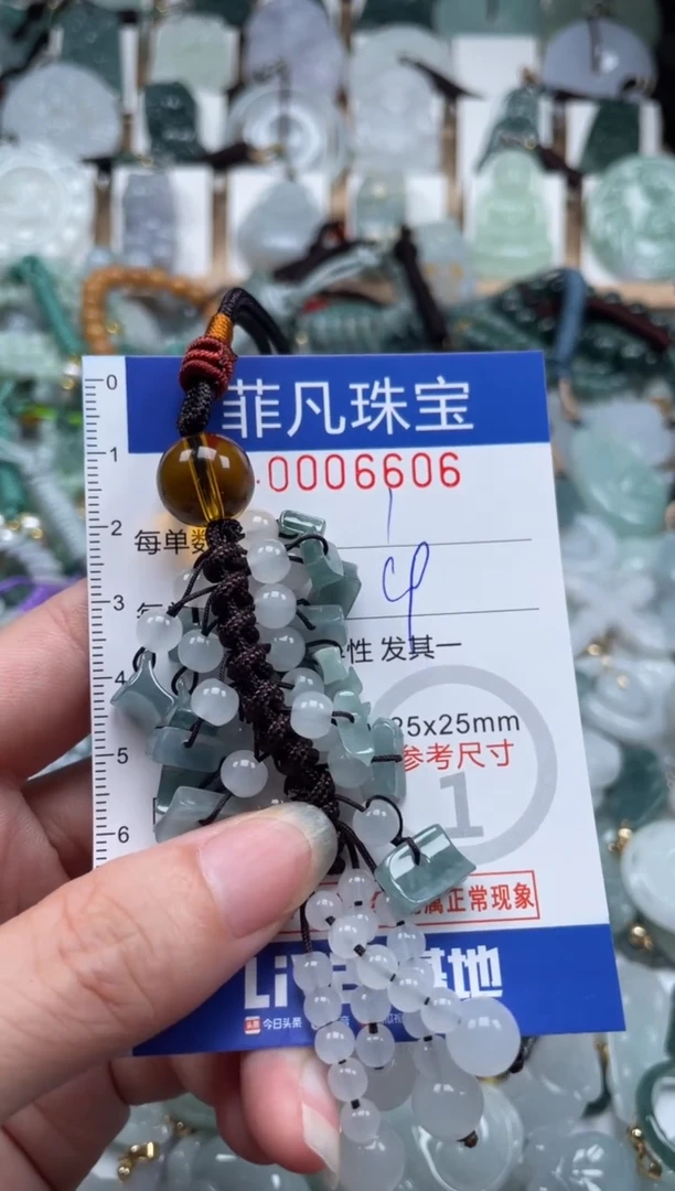 翡翠未镶嵌颈饰00..6606