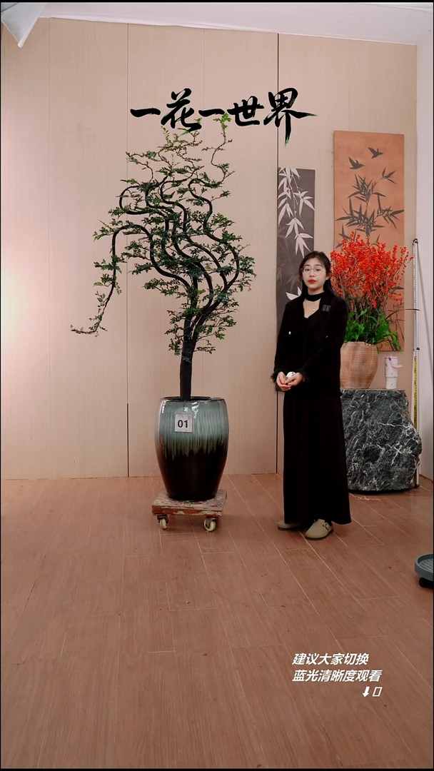 完全开放花***落01号链接