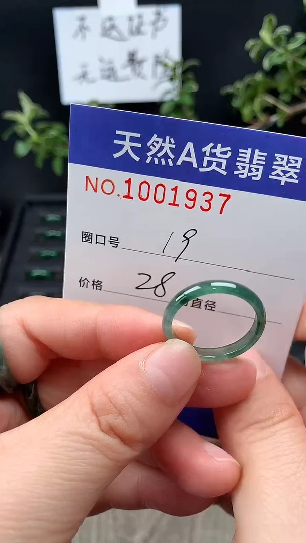 未镶嵌戒指翡翠19#