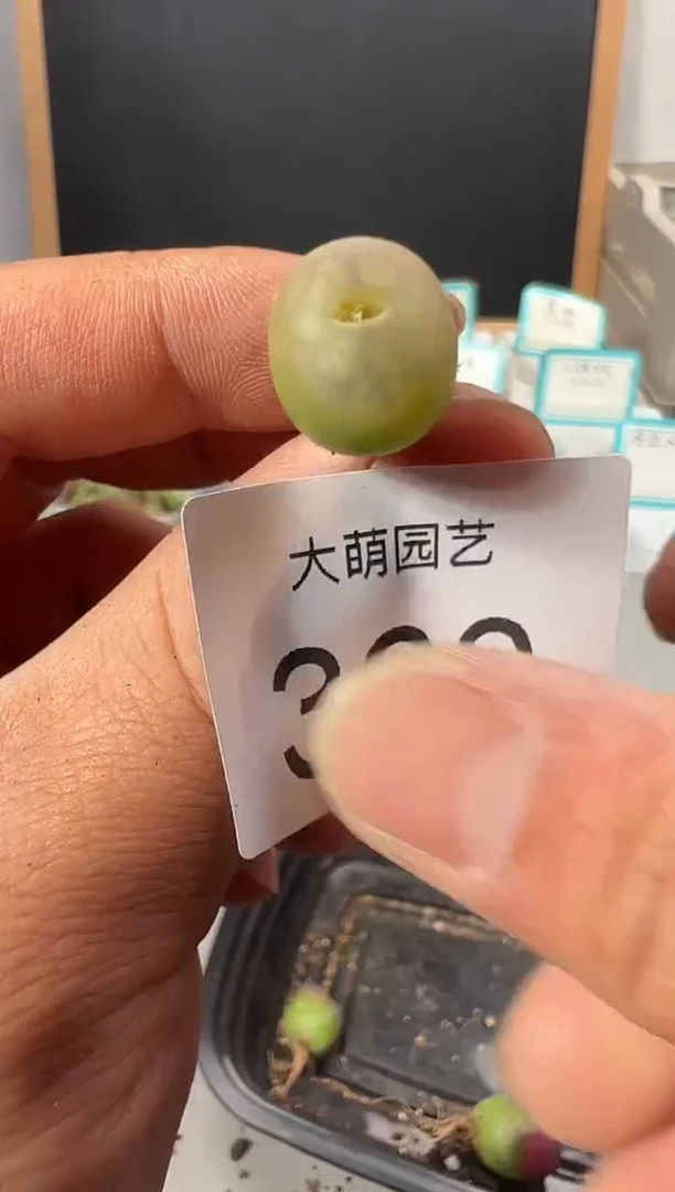 【闪购商品】+++++360