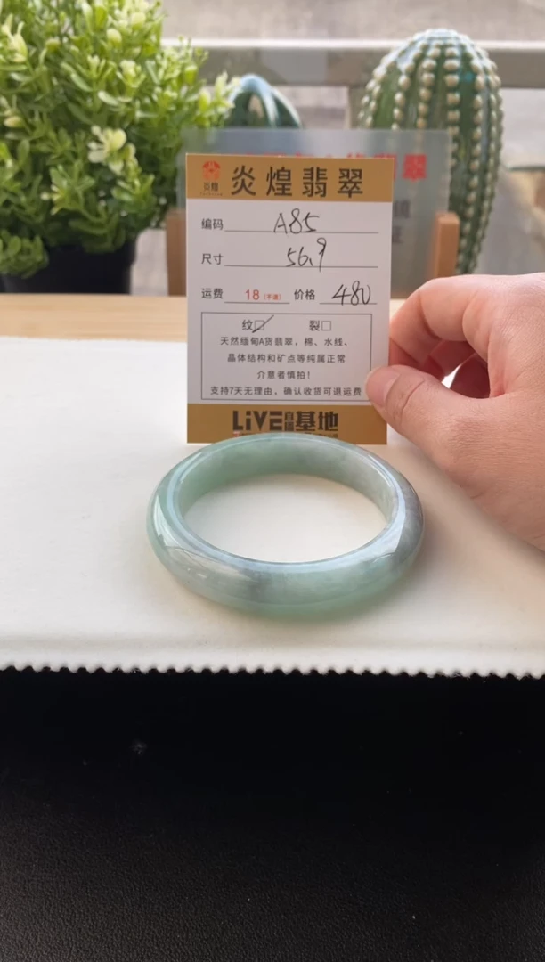 未镶嵌手镯翡翠56.9圈口编码A85
