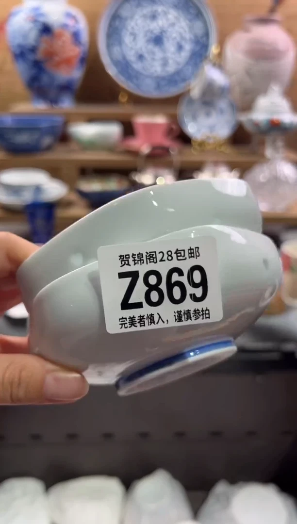 瓷片小*       Z869