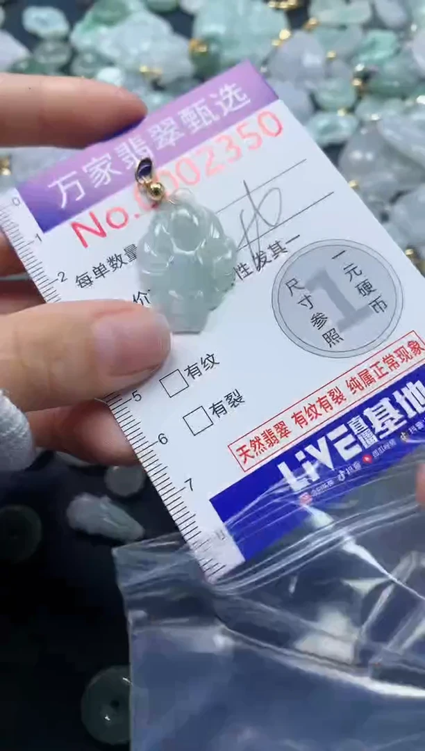 吊坠(不含链)未镶嵌翡翠2350