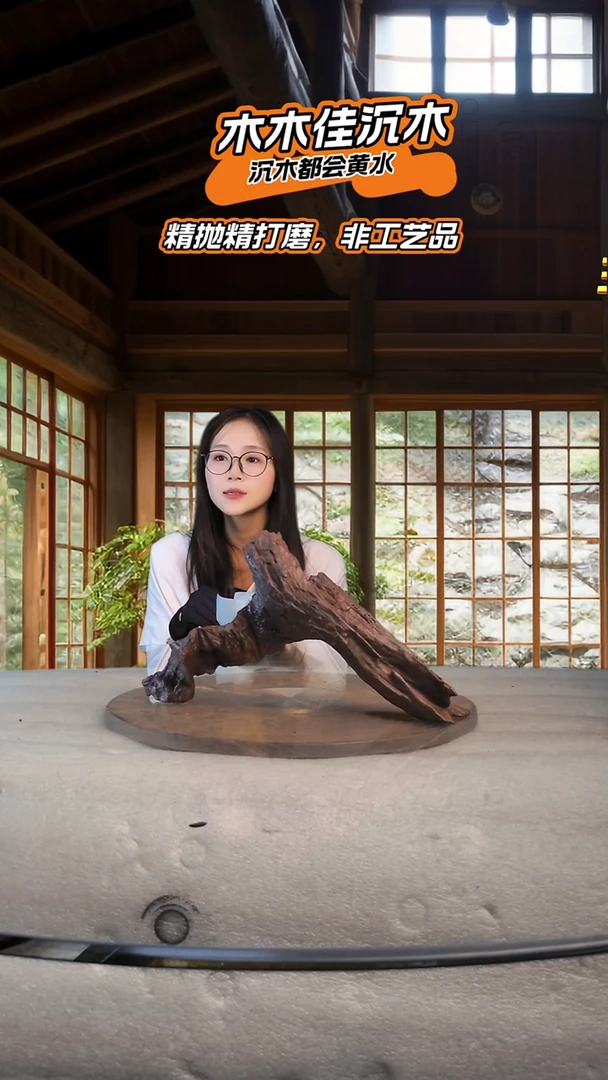 手****4木木佳鱼缸造景沉木-344