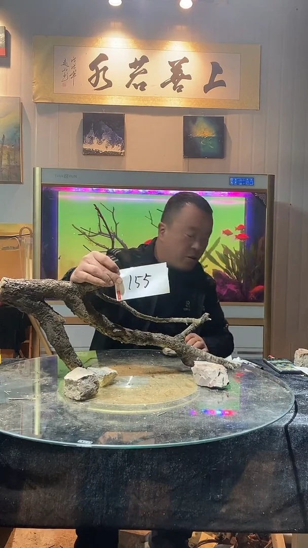 155号天然黄栎木