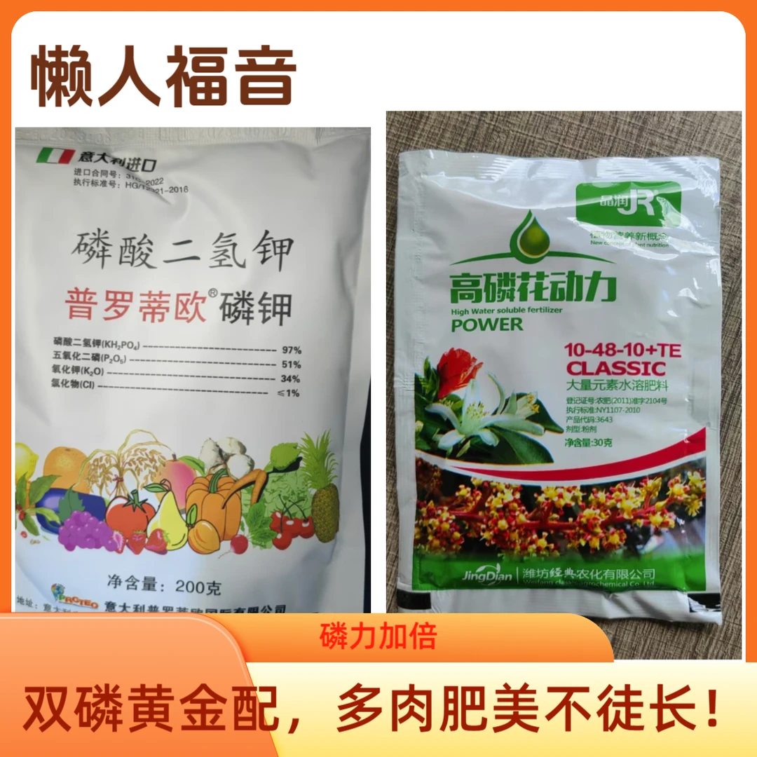 多肉、蔬菜专用肥多效合一科学控释抗病增产通用肥