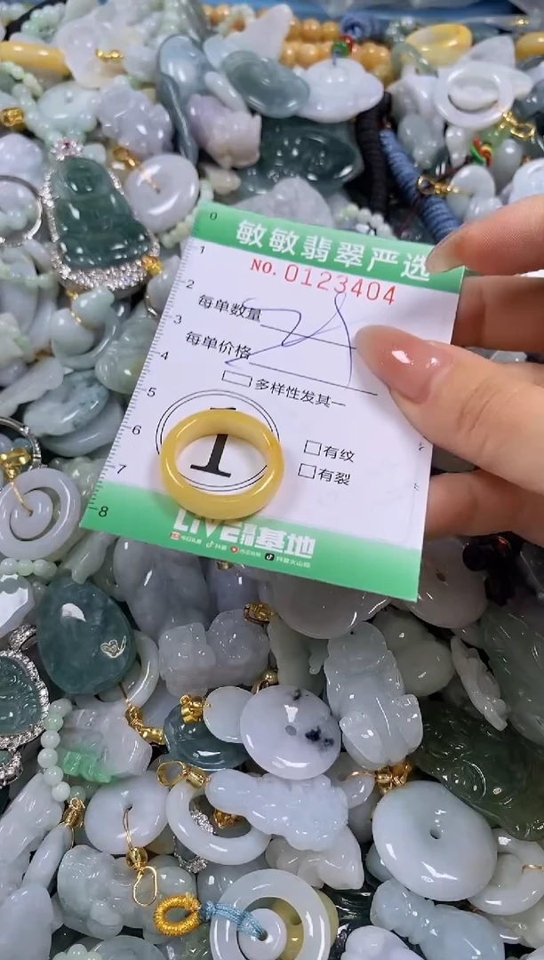 【闪购商品】翡翠颈饰未镶嵌闪购0123404多样性发其一