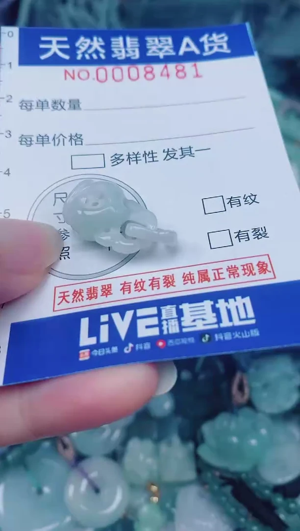 颈饰未镶嵌翡翠00008481