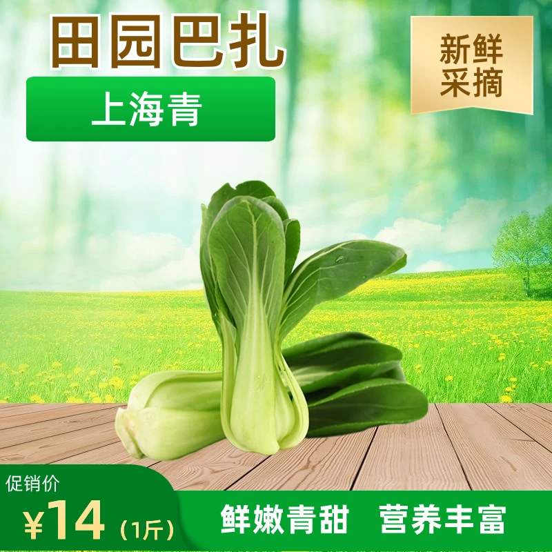 [翠翠绿绿]乌市包邮无化肥无农药有机上海青（300g*2）