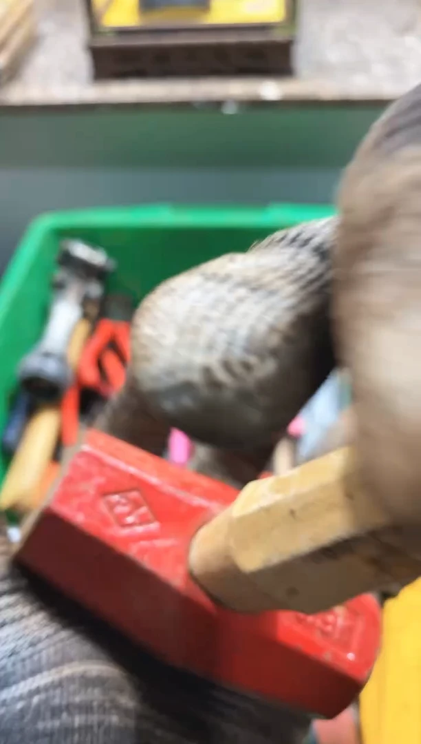 用****3麻嘎子工具闪购链接一物一拍