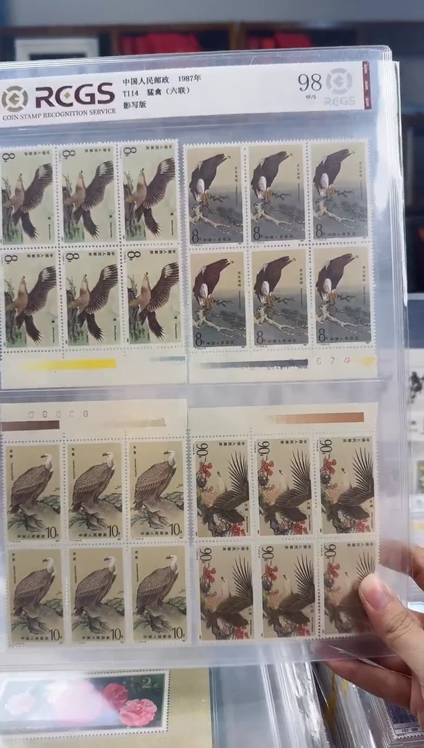 t114    猛禽  六连   色标