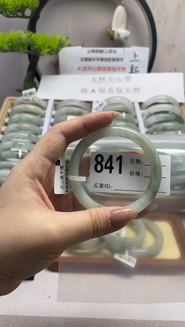 石英质玉（天山翠）手镯未镶嵌841