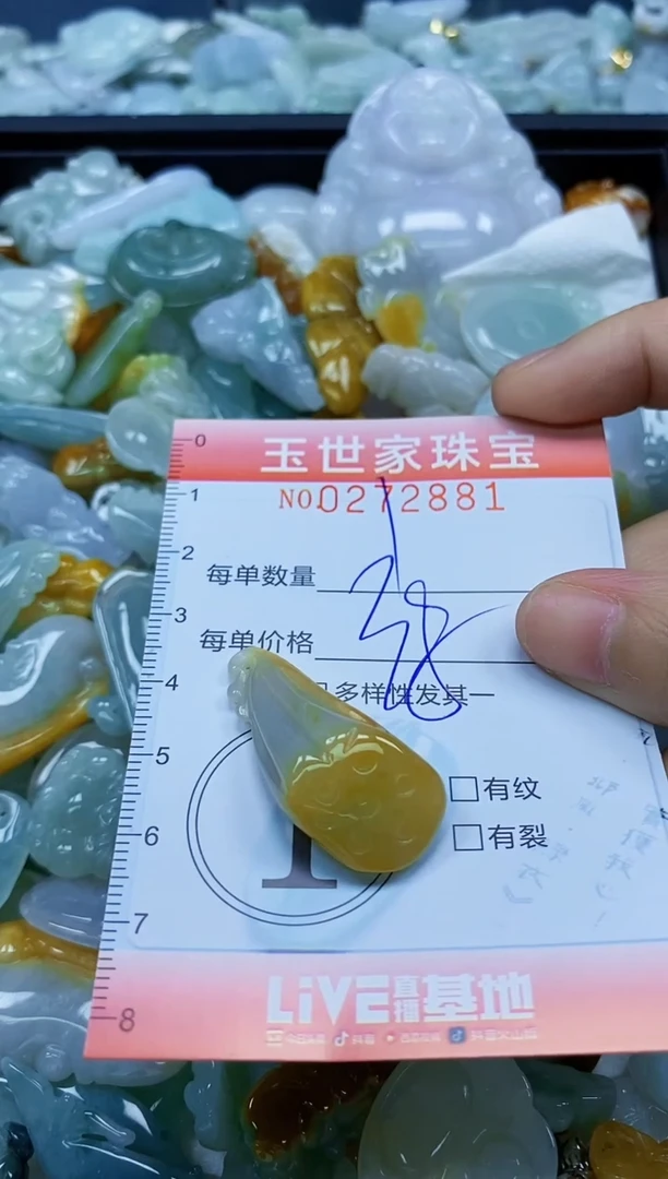 翡翠未镶嵌颈饰闪购0272881