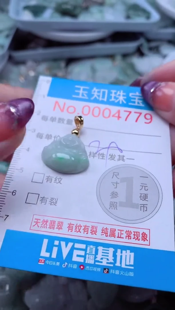 翡翠未镶嵌吊坠(不含链)4779