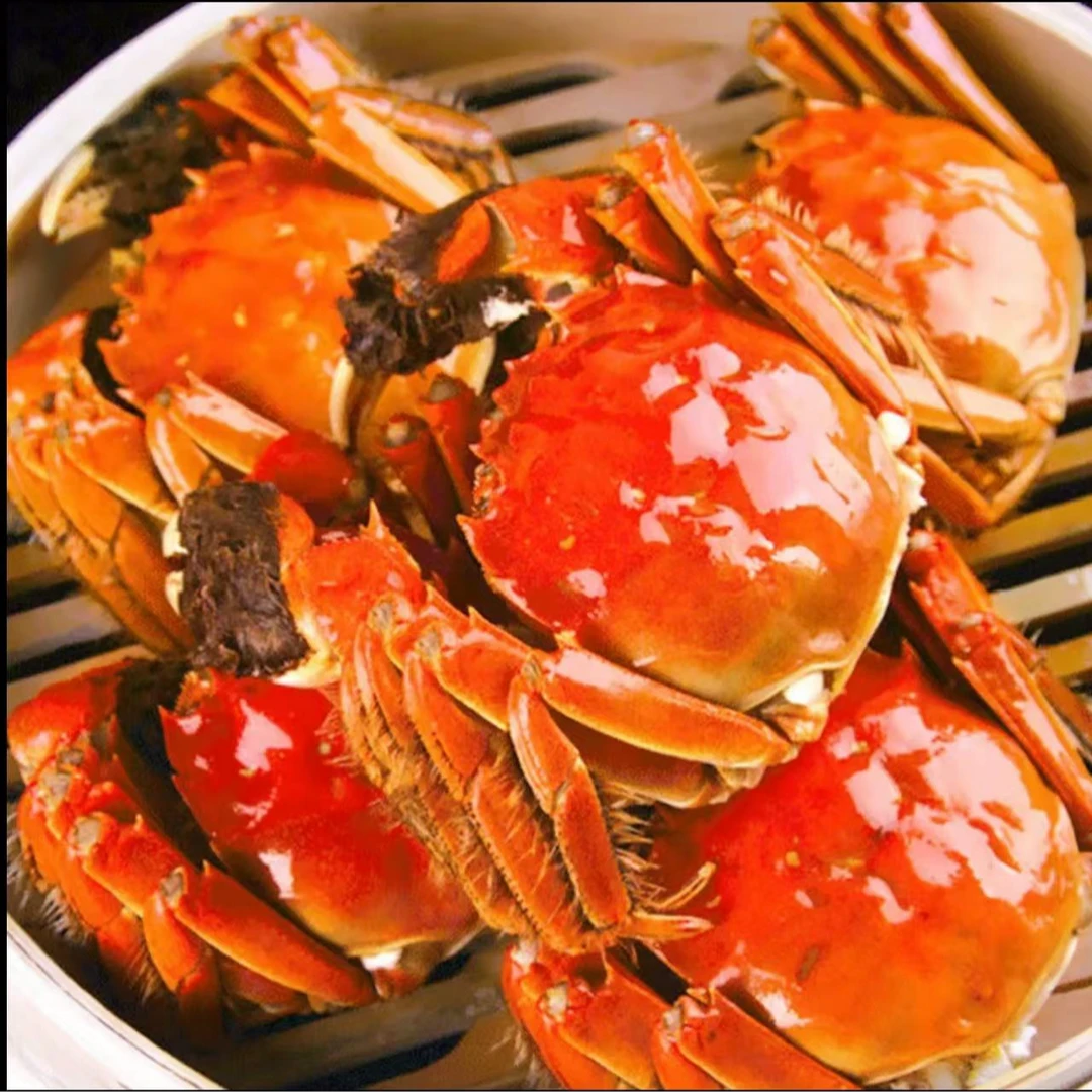 活蟹子 2.1-1.7两/只  10只母蟹   鲜活发货