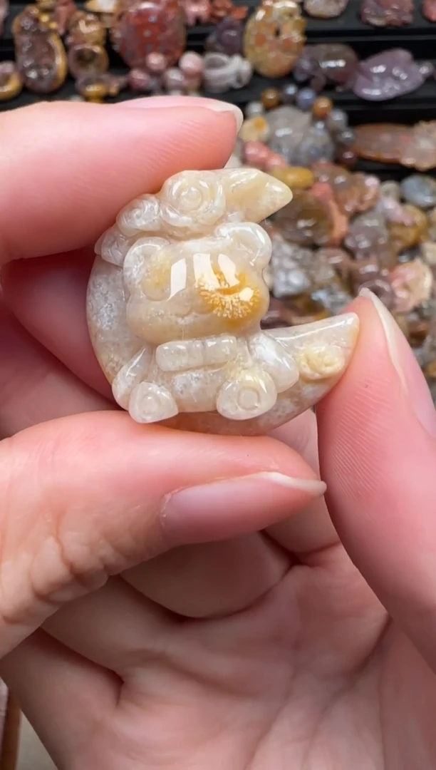 颈饰未镶嵌硅化珊瑚（珊瑚玉）279