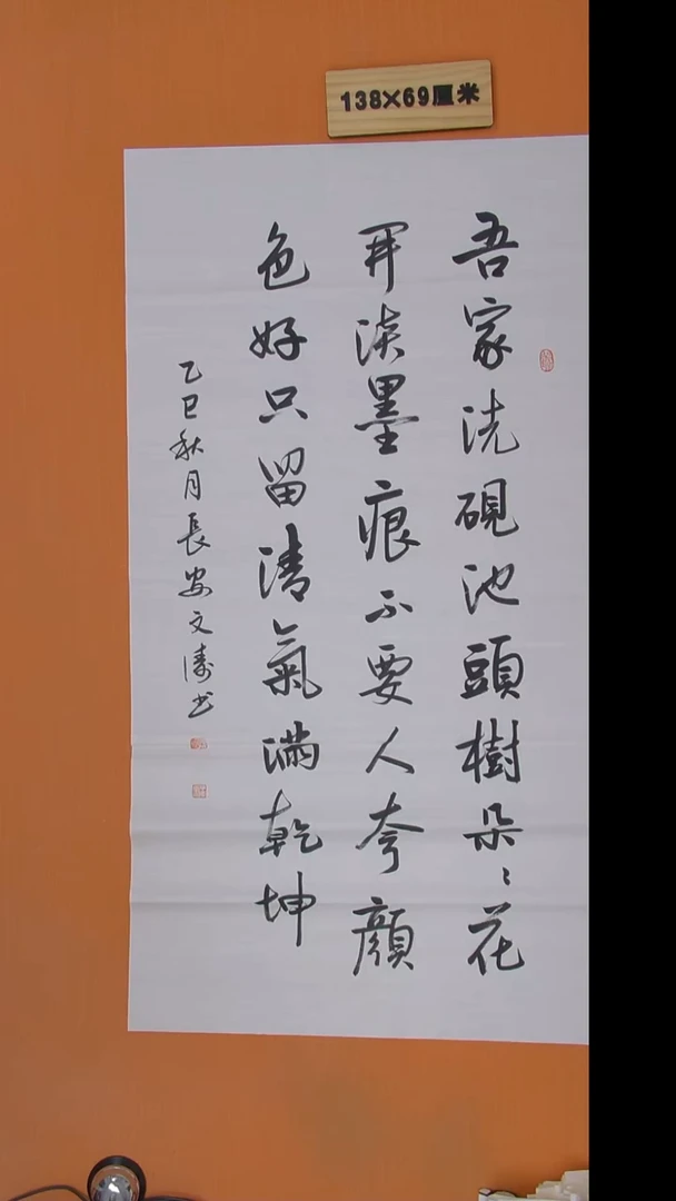 书法辛老师书法陕西西安138*69