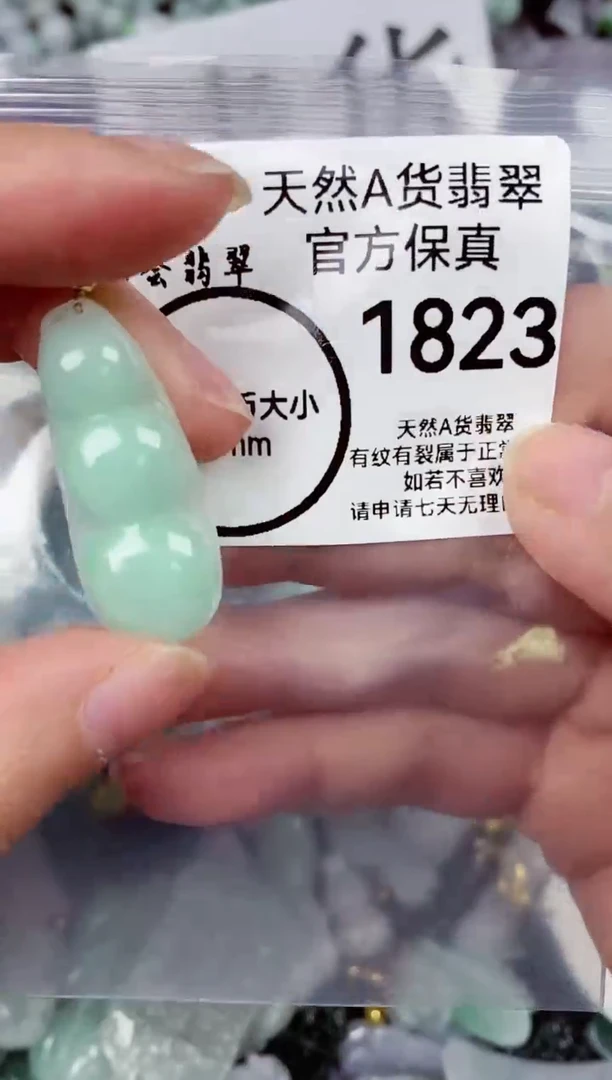 【闪购商品】翡翠颈饰未镶嵌天然A货翡翠1823