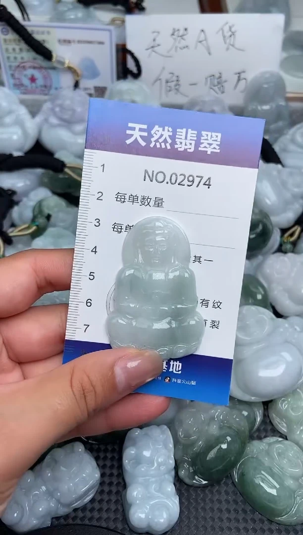 颈饰未镶嵌翡翠纯天然A货2974