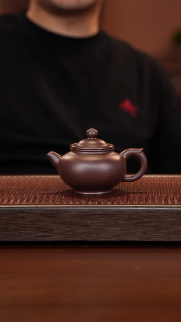 茶壶紫砂记*徐壶记紫砂精选