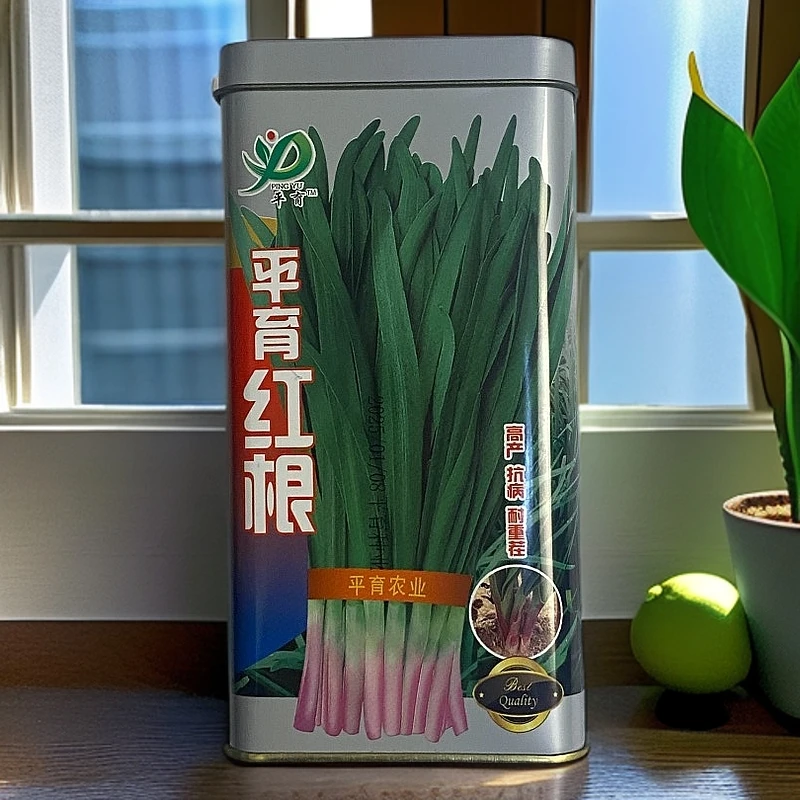 PingYu/平育平育红根（休眠品种）