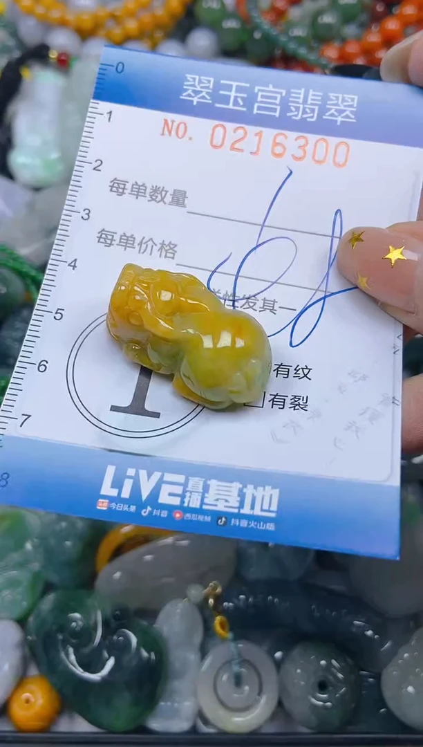 颈饰未镶嵌翡翠闪购C0216300
