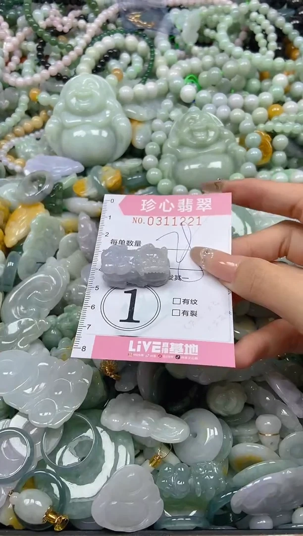 翡翠未镶嵌颈饰闪购0311221