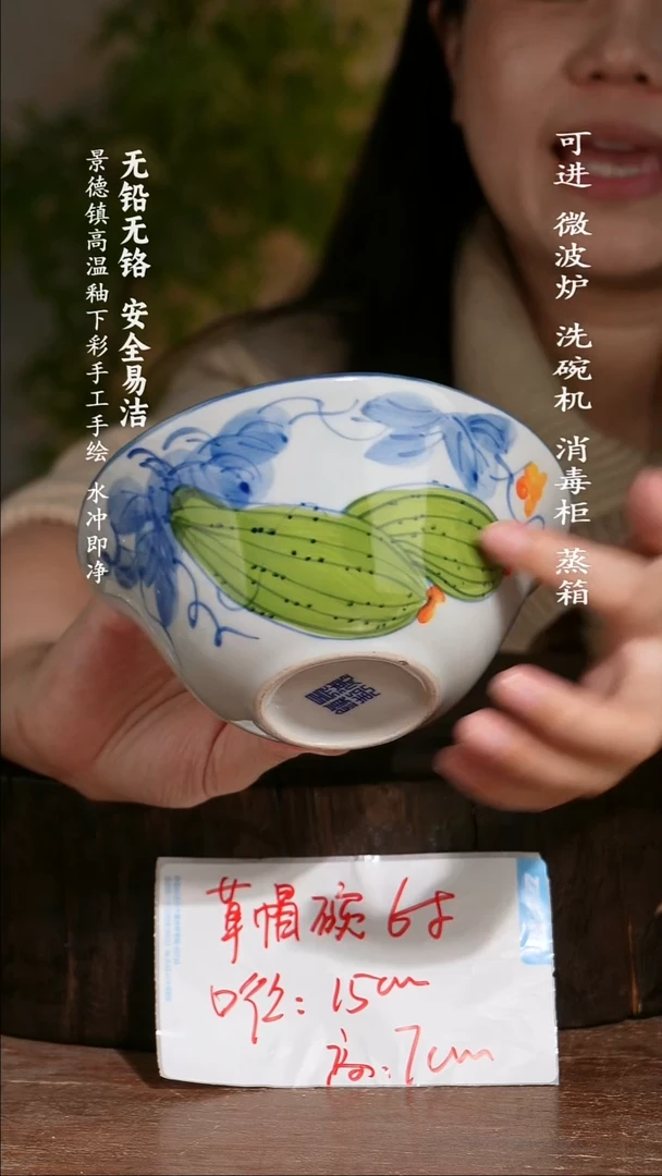 碗陶瓷景德镇高温瓷釉下彩手绘陶瓷