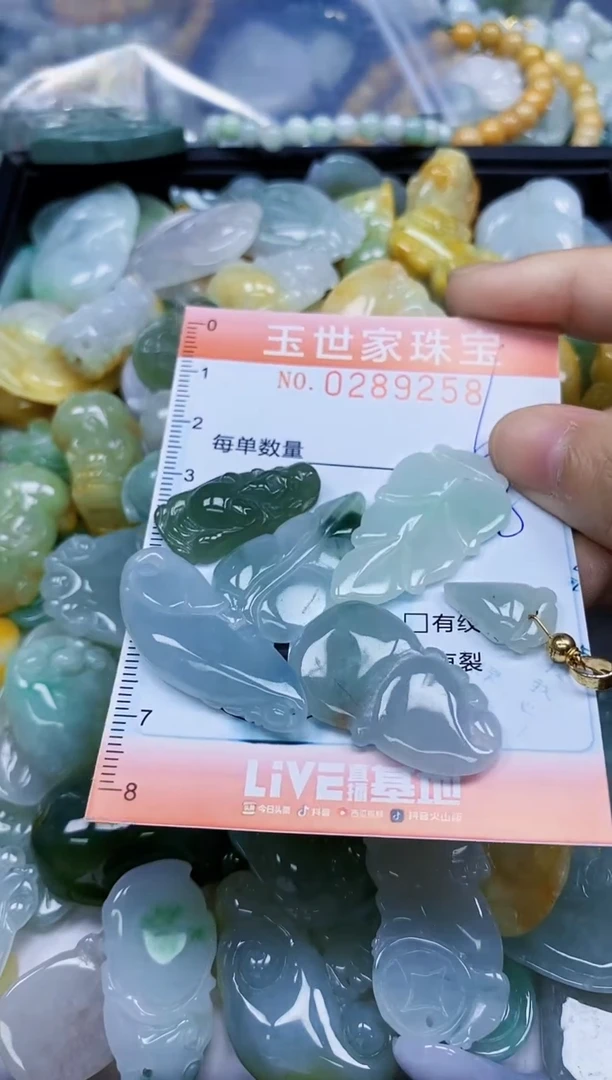 翡翠未镶嵌颈饰闪购0289258