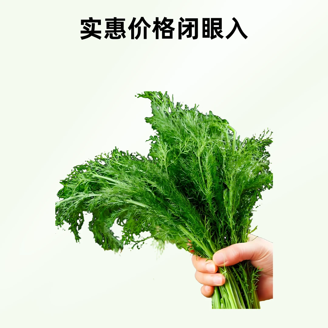 小天津茴香苗猪肉水饺20个