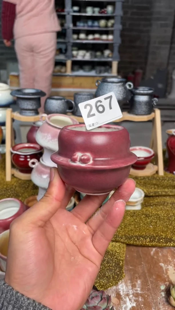 【闪购商品】摆件267知木小芳花盆直播编号