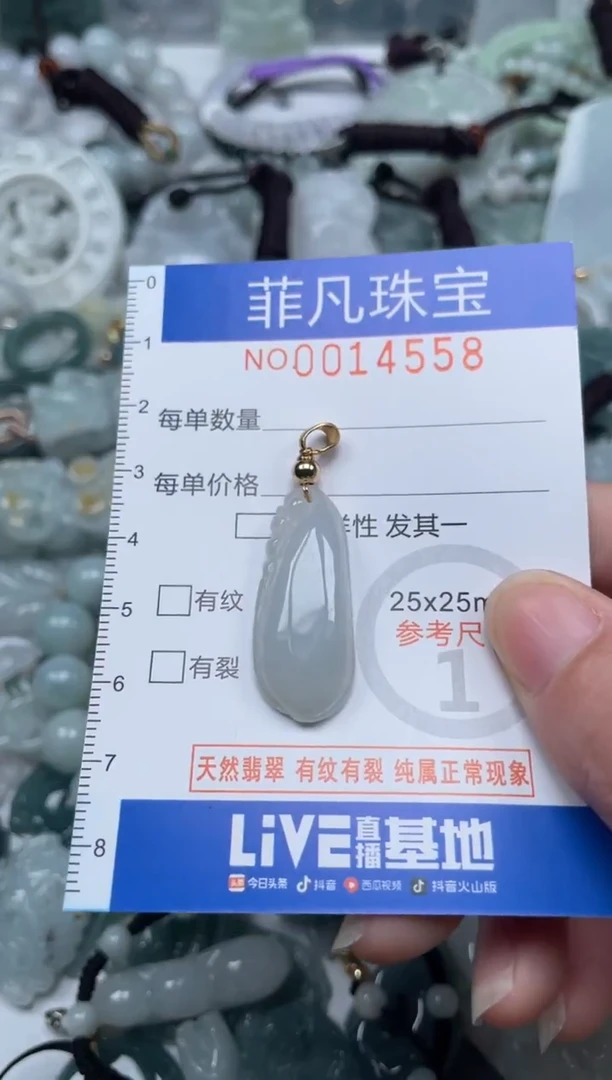 颈饰未镶嵌翡翠14558