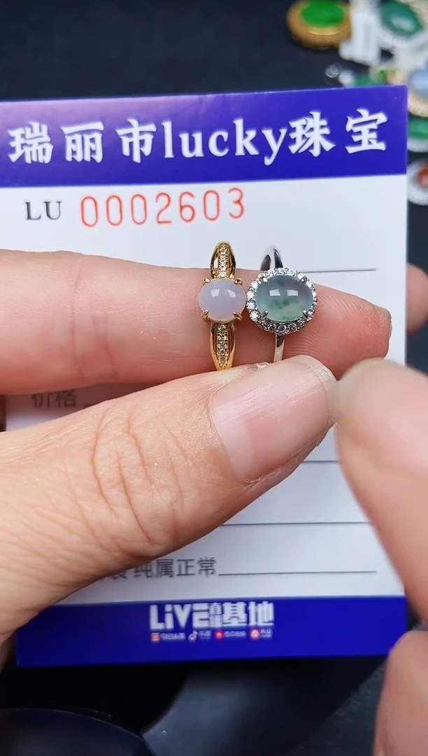 翡翠银S925镶嵌颈饰2603