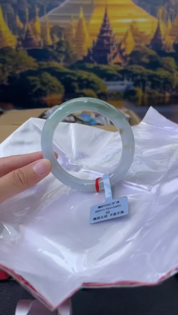 未镶嵌手镯翡翠5