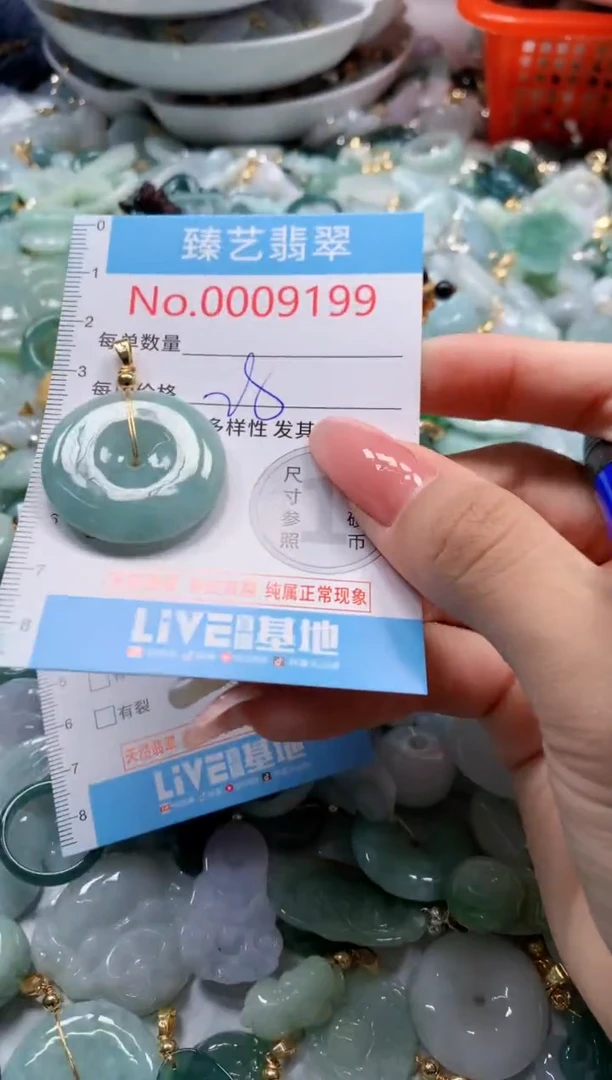 翡翠未镶嵌吊坠(不含链)9199