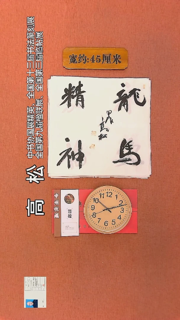 【闪购商品】书法108         高松书法作品