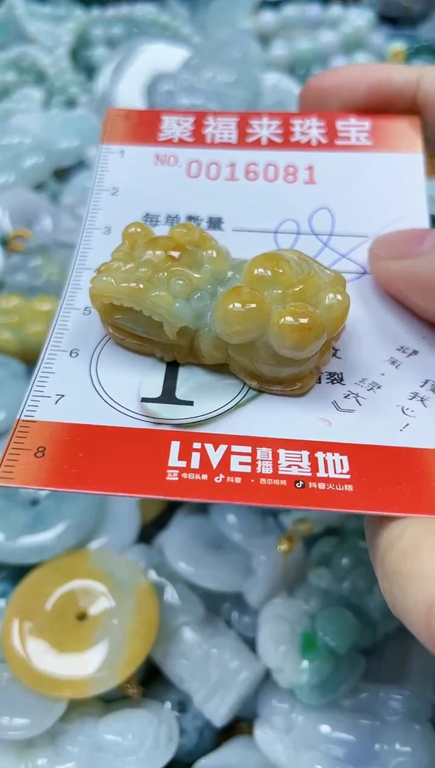 【闪购商品】翡翠颈饰未镶嵌闪购0016081