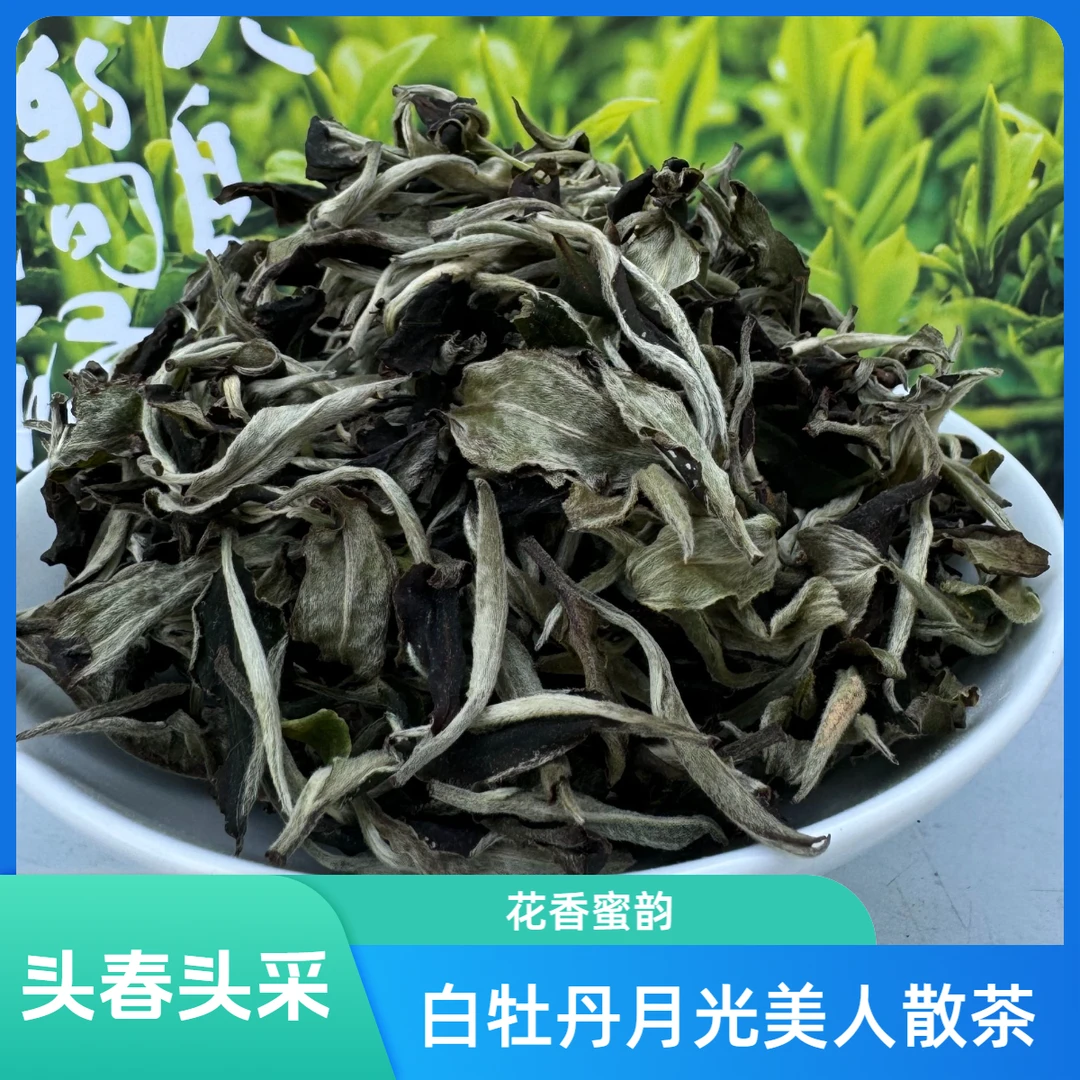 2025年头春头采月光白 月光美人散茶 一芽一叶 花香蜜韵