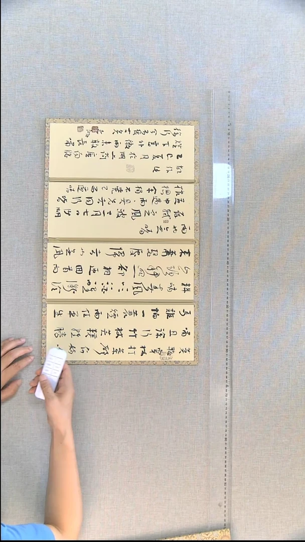 书法江孝龙书法册页/屏风定风波35*56