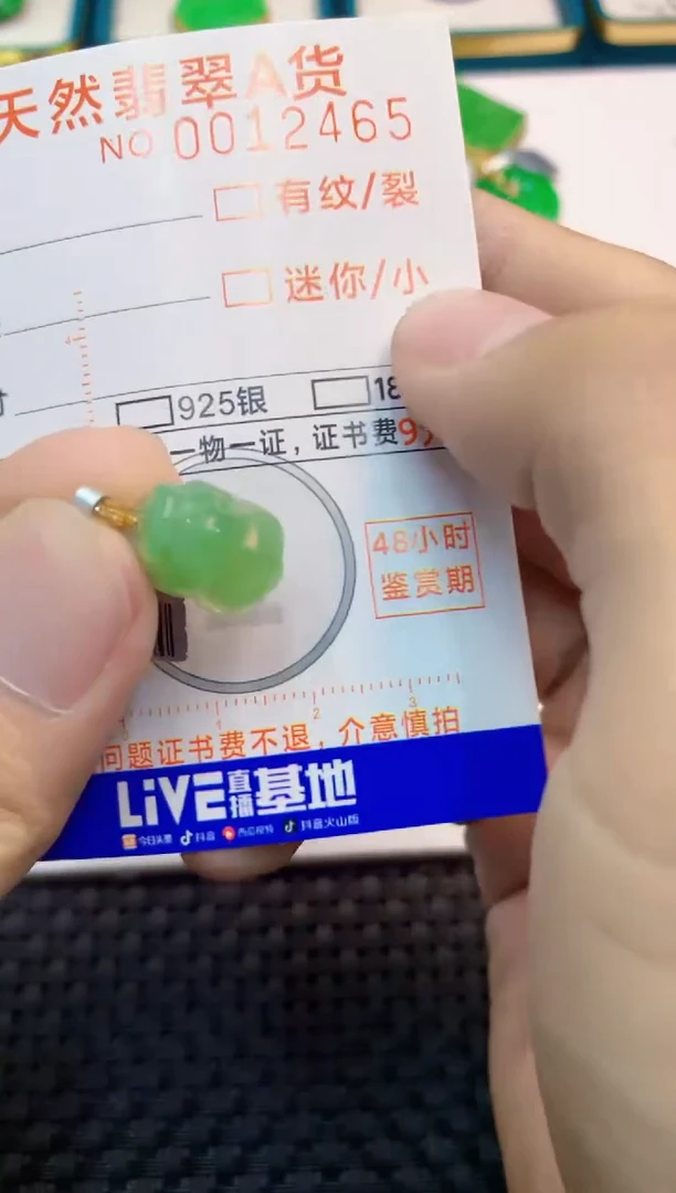 翡翠未镶嵌吊坠(不含链)1