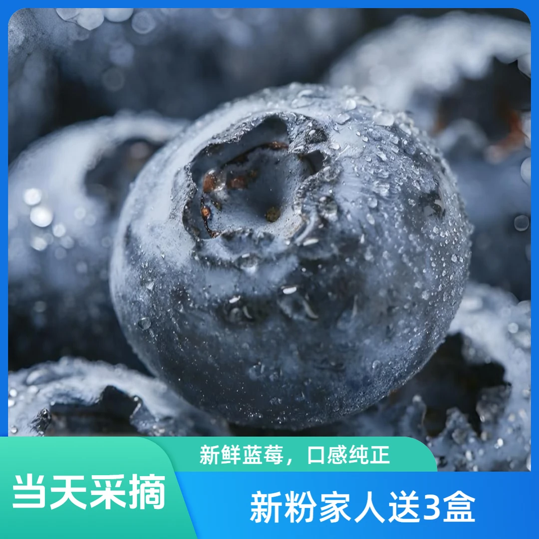 【巨无霸买3盒送3盒】云南花香脆甜现摘蓝莓空运花香浓郁脆甜爆汁