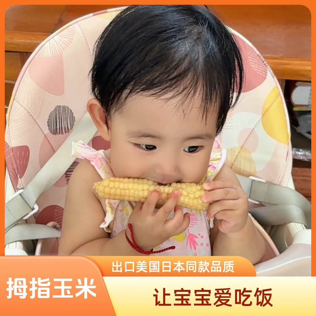 【云南版纳拇指玉米迷你糯玉米香糯甜糯】香甜玉米小玉米宝宝辅食