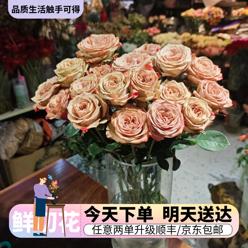 『卡布奇诺单头玫瑰』今日下单明日送达 生活鲜切花同城批发直播