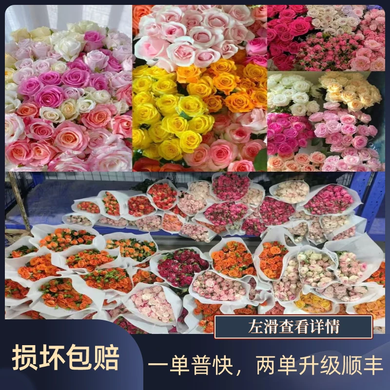 【超级福利玫瑰链接】  任意2单升级顺丰冷链