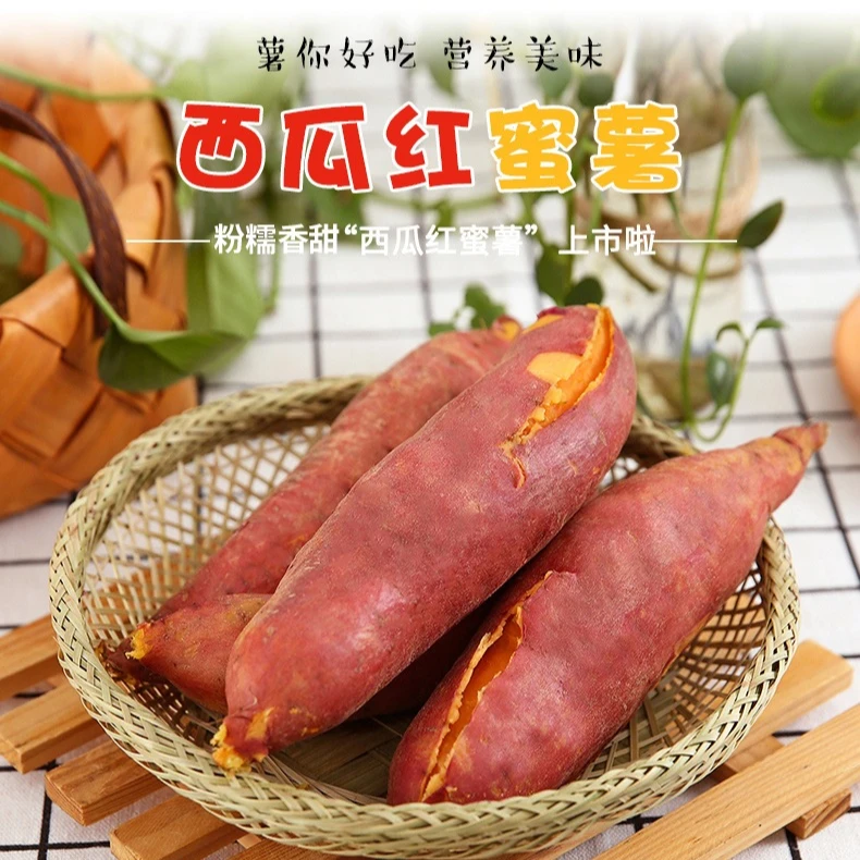 西瓜红蜜薯：粉糯香甜，美味健康