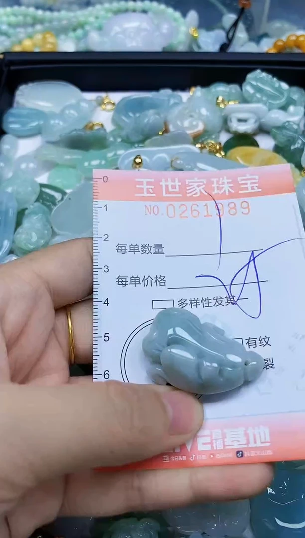 翡翠未镶嵌颈饰闪购0261989