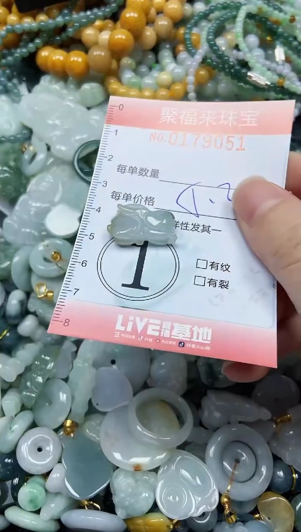 翡翠未镶嵌颈饰闪购0179051